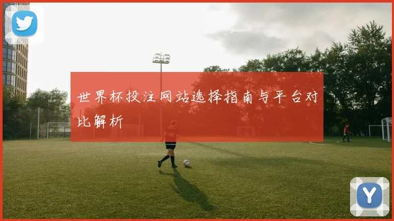 世界杯投注网站选择指南与平台对比解析