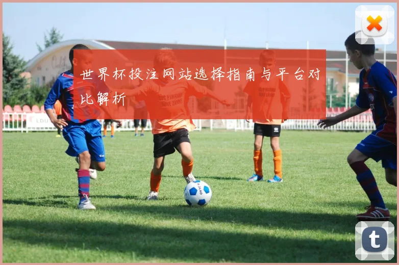 世界杯投注网站选择指南与平台对比解析